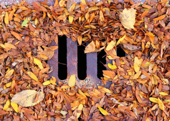 4 Clear Warning Signs that Your Stormwater Drain is Blocked