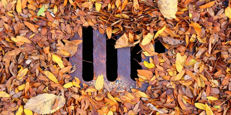 4 Clear Warning Signs that Your Stormwater Drain is Blocked