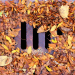 4 Clear Warning Signs that Your Stormwater Drain is Blocked