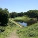 Golf Places Ninth at MacDonald Cup